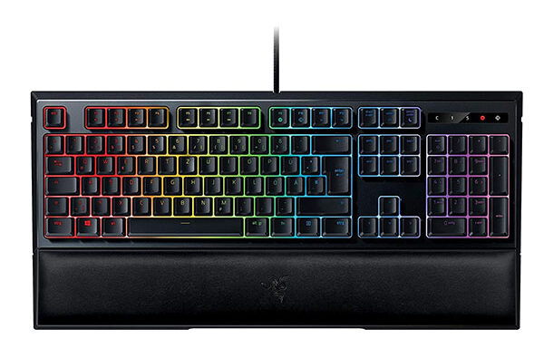 Ornata Chroma