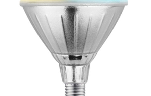 Light Bulb – PAR38 CCT 110V